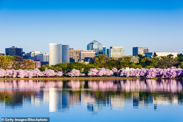 Washington, DC in the Tidal Basin during cherry blossom season with the Rosslyn Business District cityscape seen here